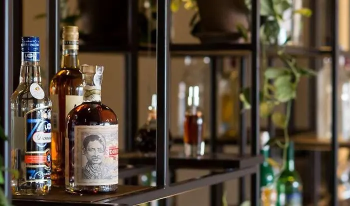 فندق أن إتش كوليكشن باربيزون بالاس