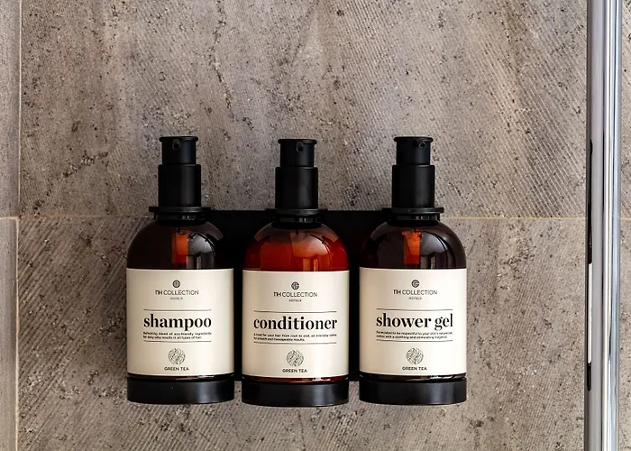 أن إتش كوليكشن باربيزون بالاس 5* أمستردام