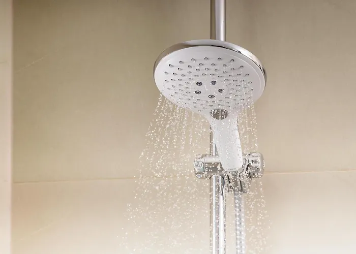 فندق أن إتش كوليكشن باربيزون بالاس 5*